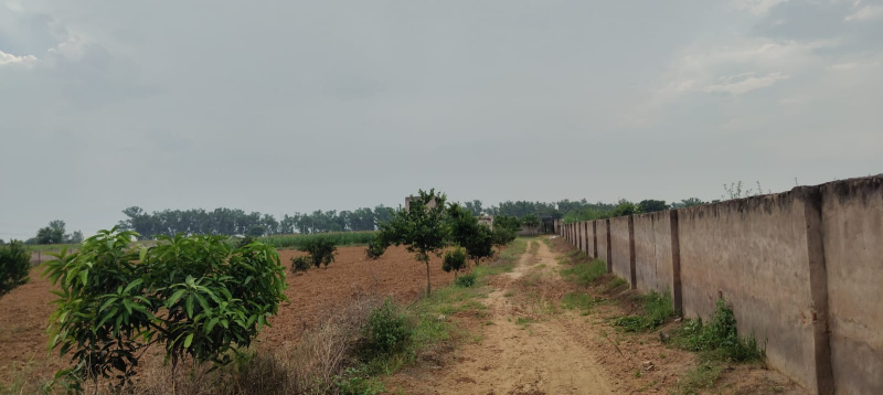  3 Acre Agricultural/Farm Land for Sale in Mandkola, Palwal