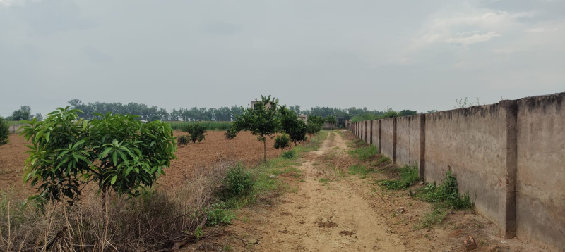  3 Acre Agricultural/Farm Land for Sale in Mandkola, Palwal
