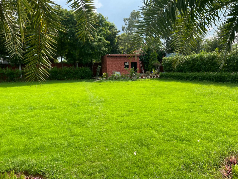  1 Acre Agricultural/Farm Land for Sale in Sirohi, Faridabad