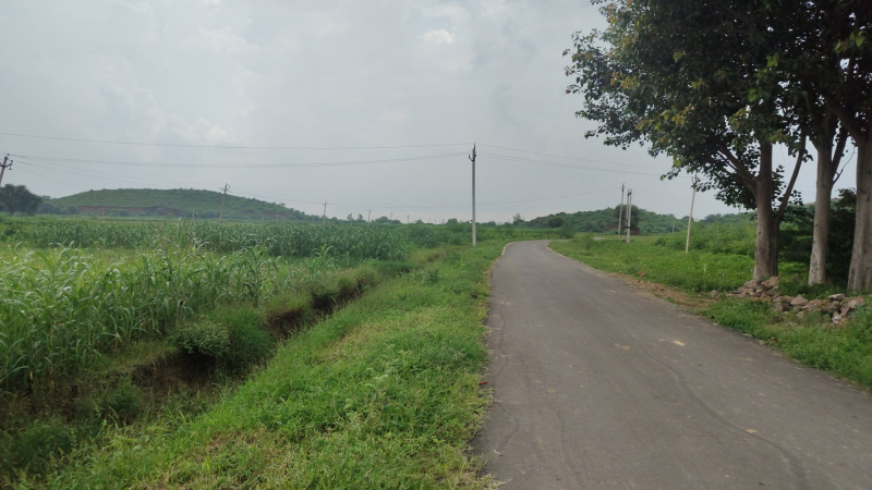  7 Bigha Agricultural/Farm Land for Sale in Tijara, Alwar