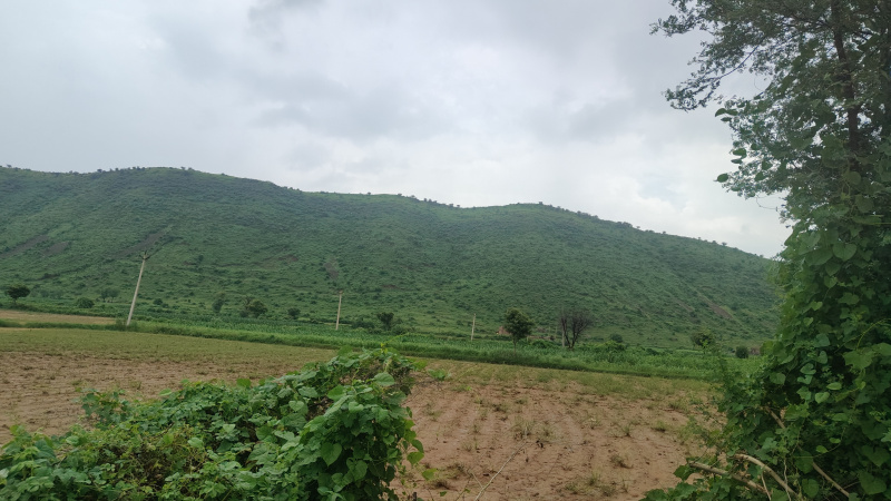  7 Bigha Agricultural/Farm Land for Sale in Tijara, Alwar
