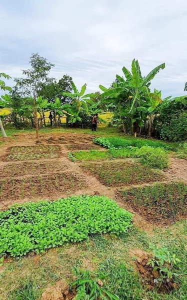 2.5 BHK 43560 Sq.ft. Farm House for Sale in Manesar, Gurgaon