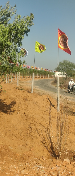  1 Bigha Agricultural/Farm Land for Sale in Paota, Alwar