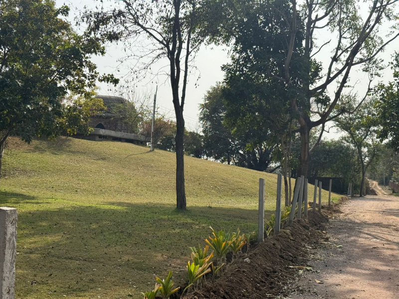  1 Acre Agricultural/Farm Land for Sale in Faridabad Road, Gurgaon