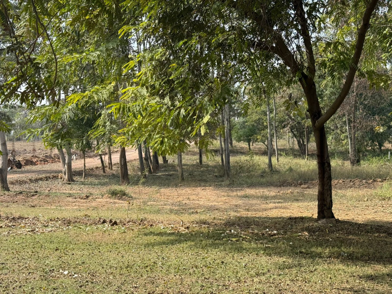  1 Acre Agricultural/Farm Land for Sale in Faridabad Road, Gurgaon