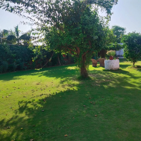  1 Acre Agricultural/Farm Land for Sale in Manesar, Gurgaon