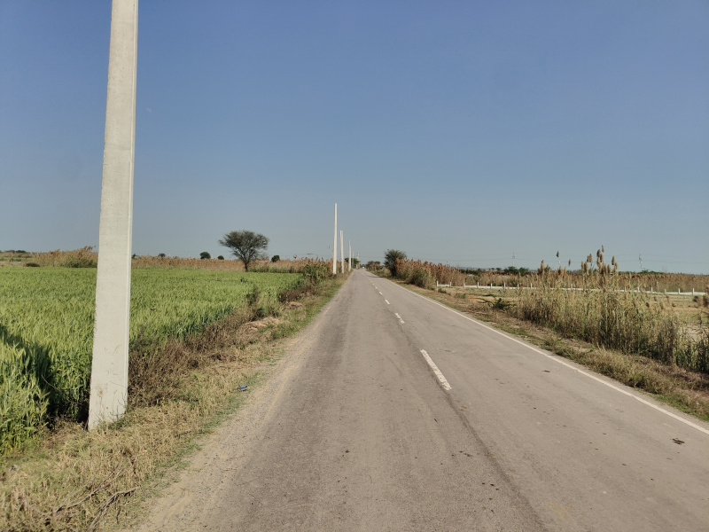  4 Acre Agricultural/Farm Land for Sale in Indari, Nuh