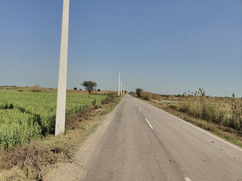  4 Acre Agricultural/Farm Land for Sale in Indari, Nuh