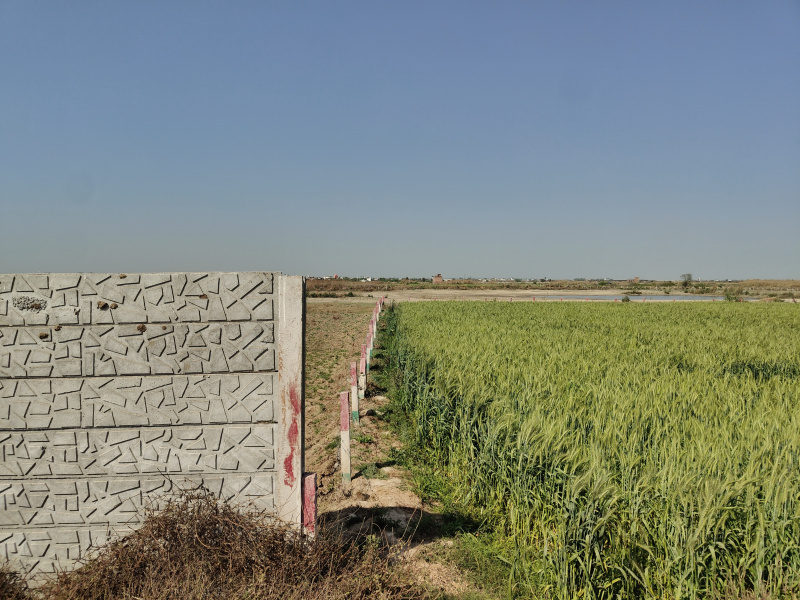  4 Acre Agricultural/Farm Land for Sale in Indari, Nuh