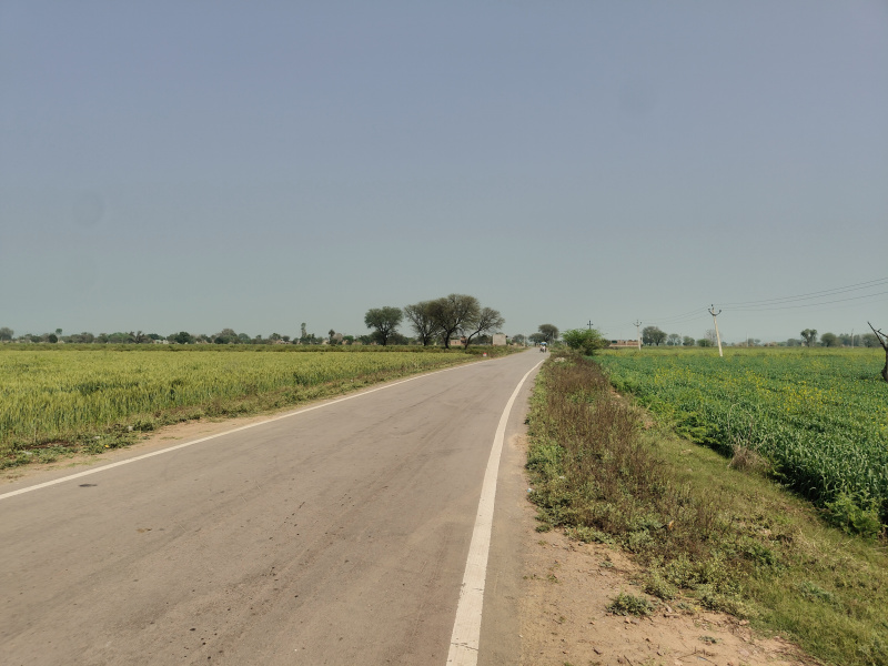  2 Acre Agricultural/Farm Land for Sale in Hathin, Palwal