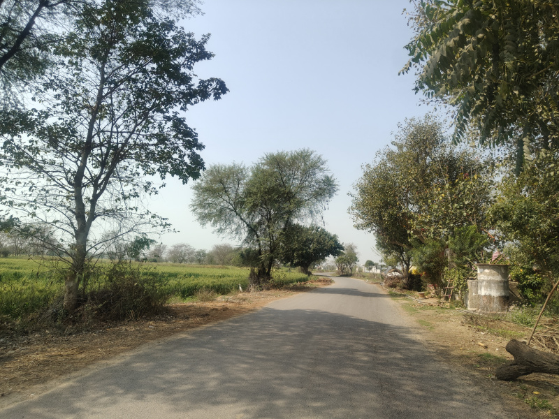  2 Acre Agricultural/Farm Land for Sale in Hathin, Palwal