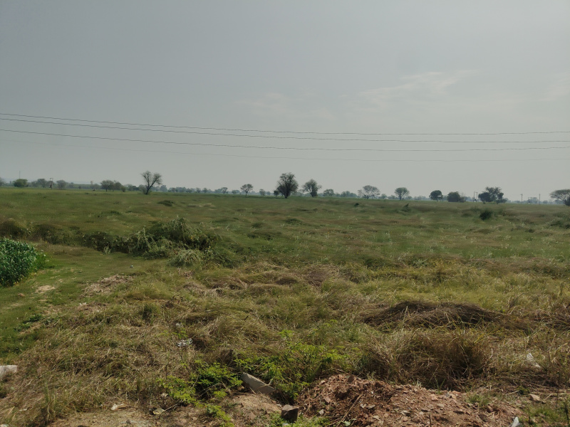  2 Acre Agricultural/Farm Land for Sale in Hathin, Palwal