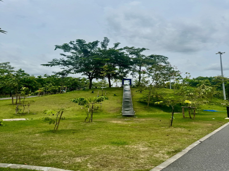  2420 Sq. Yards Agricultural/Farm Land for Sale in Sohna Road, Gurgaon