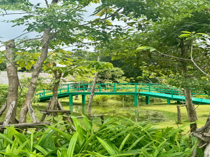  2420 Sq. Yards Agricultural/Farm Land for Sale in Sohna Road, Gurgaon