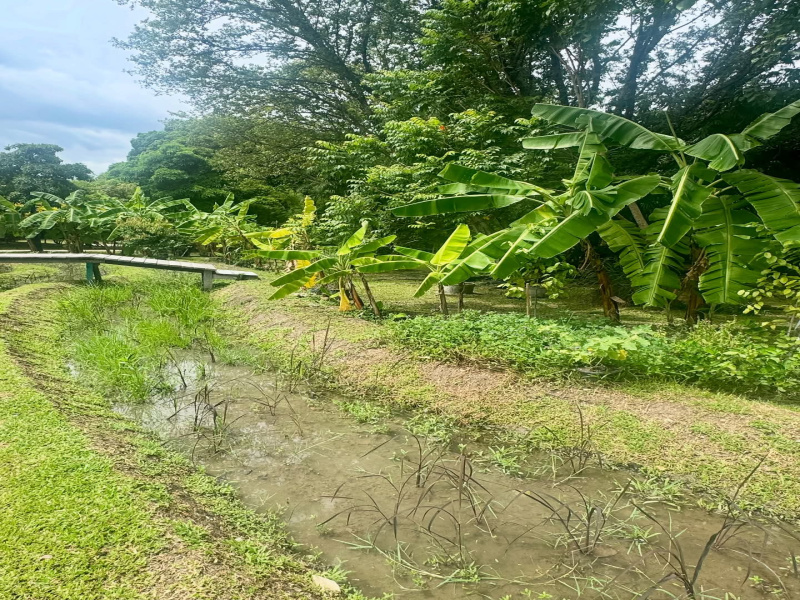  2420 Sq. Yards Agricultural/Farm Land for Sale in Sohna Road, Gurgaon