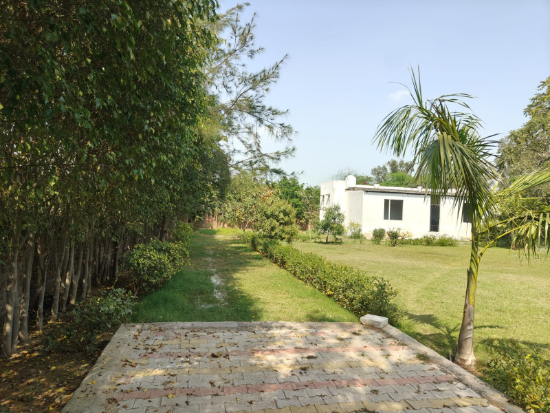  3025 Sq. Yards Agricultural/Farm Land for Sale in Sohna Road, Gurgaon