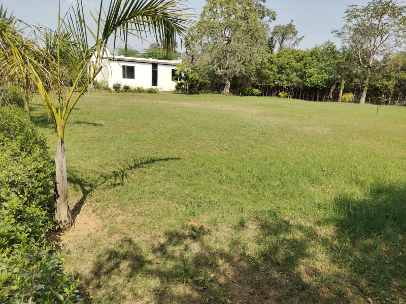  3025 Sq. Yards Agricultural/Farm Land for Sale in Sohna Road, Gurgaon