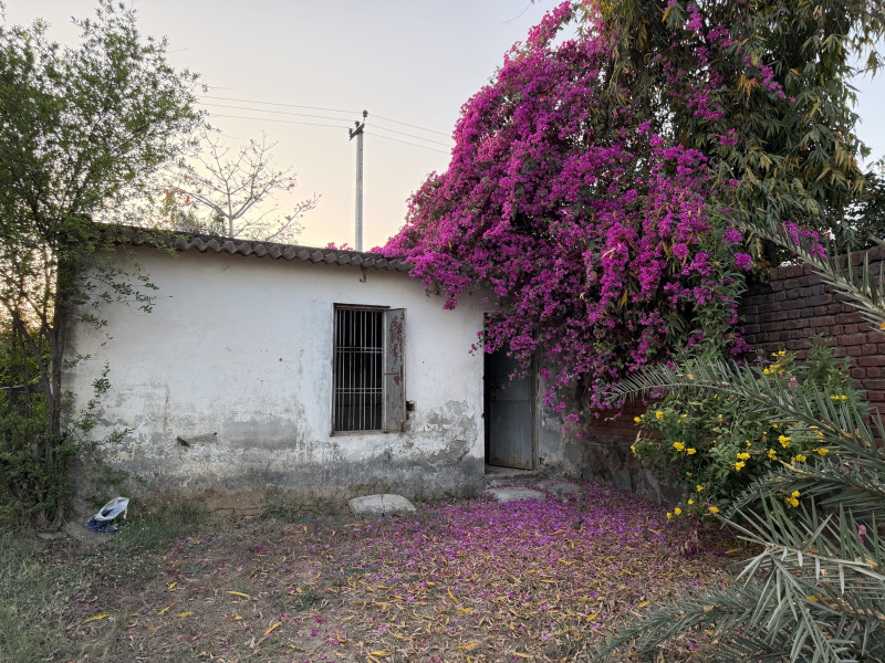  2420 Sq. Yards Agricultural/Farm Land for Sale in Sohna Road, Gurgaon