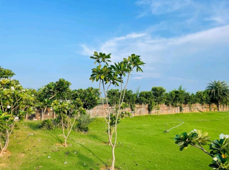 3 BHK 1 Acre Farm House for Sale in Sohna Road, Gurgaon