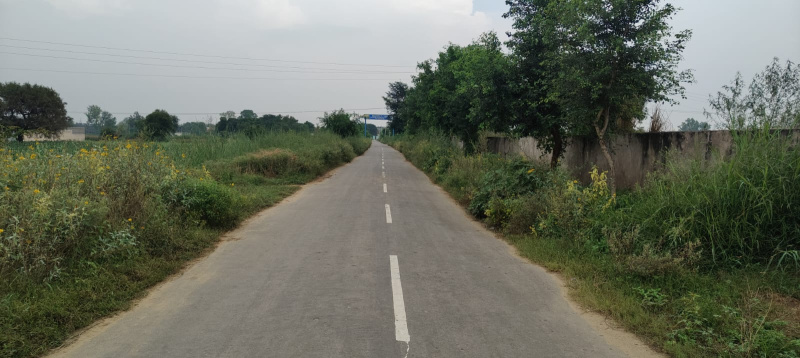  2420 Sq. Yards Agricultural/Farm Land for Sale in Sohna Road, Faridabad