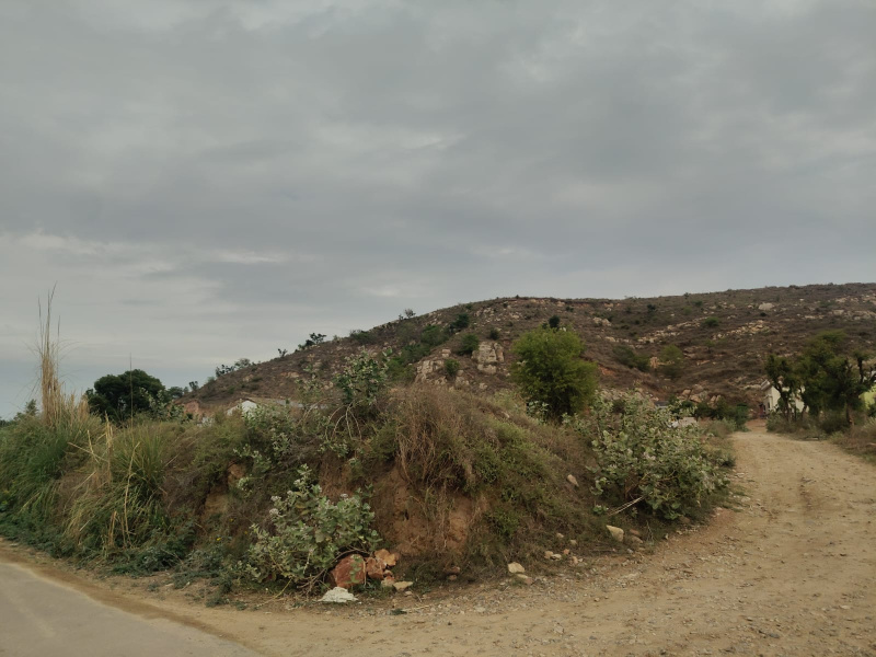  15 Bigha Agricultural/Farm Land for Sale in Tijara Road, Alwar