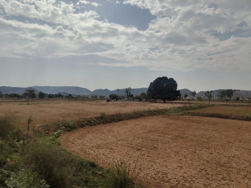  15 Bigha Agricultural/Farm Land for Sale in Tijara Road, Alwar