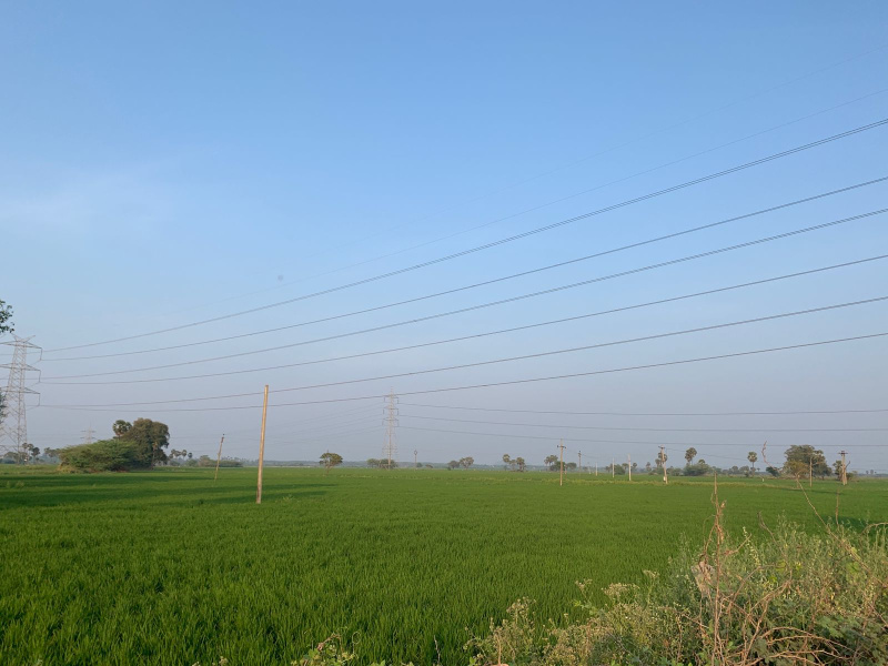  Agricultural Land 2 Acre for Sale in Kavali, Nellore