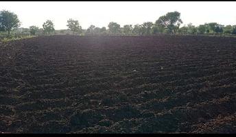  Agricultural Land for Sale in Dyacharam, Vikarabad, Vikarabad