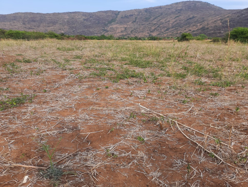  Agricultural Land 4 Acre for Sale in Kollegal, Chamrajnagar