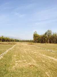  Agricultural Land for Sale in Dhoomnagar, Dehradun