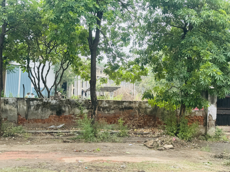  Industrial Land 22000 Sq. Meter for Sale in Phase 2 Noida