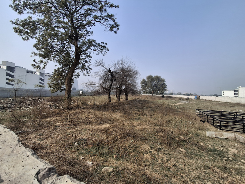 3.5 BHK Apartment 2400 Sq.ft. for Sale in Yamuna Expressway, Greater Noida