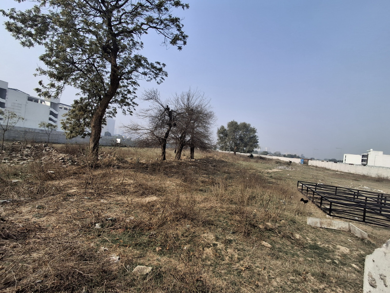 3.5 BHK Apartment 2400 Sq.ft. for Sale in Yamuna Expressway, Greater Noida