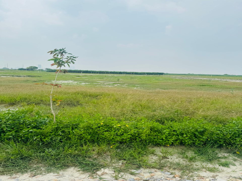  Agricultural Land 1050 Sq.ft. for Sale in Sector 145 Noida