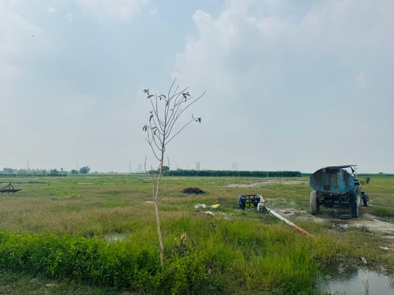  Agricultural Land 2100 Sq.ft. for Sale in Sector 145 Noida