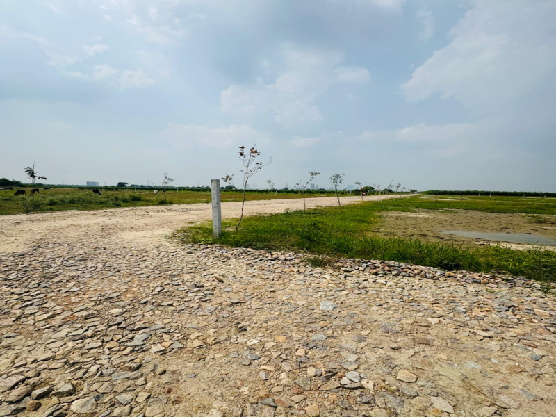  Agricultural Land 3000 Sq.ft. for Sale in Sector 145 Noida