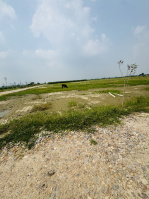  Agricultural Land for Sale in Sector 145 Noida