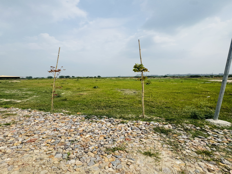  Agricultural Land 2000 Sq. Yards for Sale in Sector 145 Noida