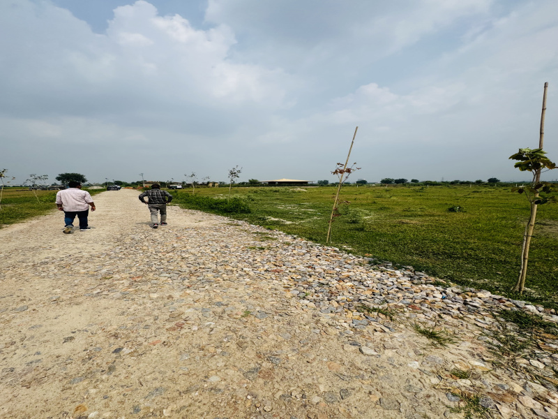  Agricultural Land 2000 Sq. Yards for Sale in Sector 145 Noida