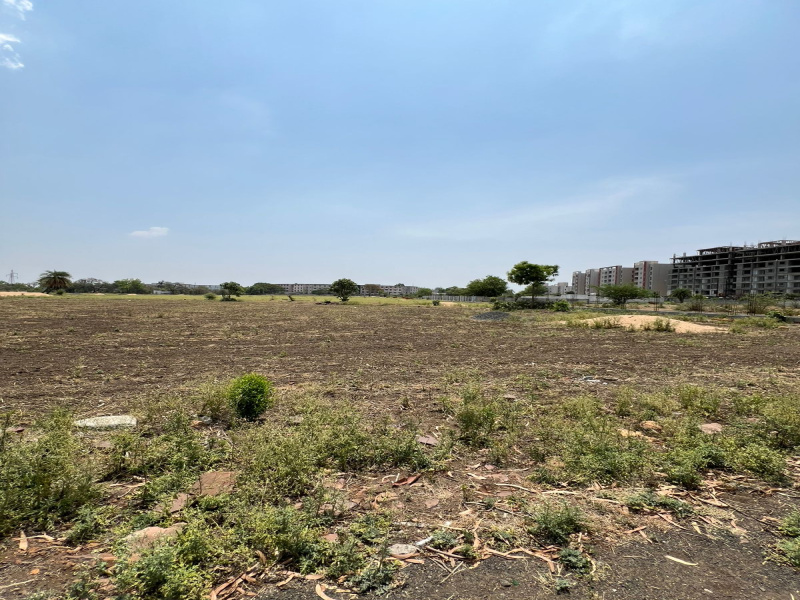  Commercial Land 4200 Sq.ft. for Sale in Badwai, Bhopal