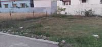  Residential Plot for Sale in Balawala, Dehradun