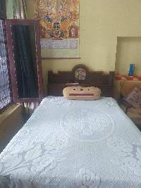 3 BHK House for Sale in Daulatpur kangra, Kangra, Kangra