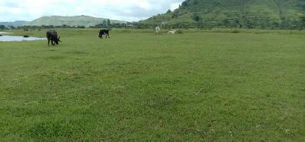  Agricultural Land for Sale in Dhaygude Wada, Pune