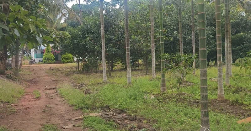  16 Acre Agricultural/Farm Land for Sale in Mysore Road, Bangalore