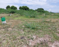  Residential Plot for Sale in Nedumkulam, Madurai