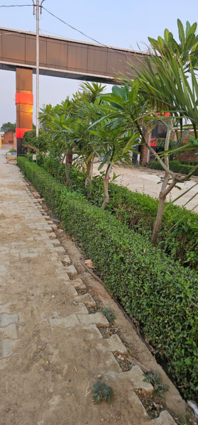  Residential Plot 1000 Sq.ft. for Sale in Chunar, Mirzapur-cum-Vindhyachal