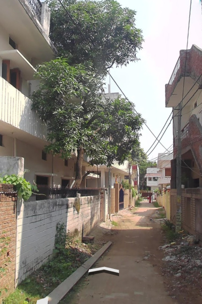  Residential Plot 1360 Sq.ft. for Sale in Mahamanapuri Colony, Chitaipur, Varanasi