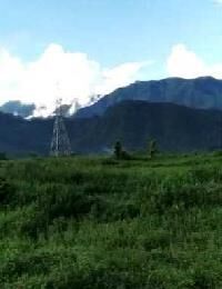  Residential Plot for Sale in Dhaulas, Dehradun