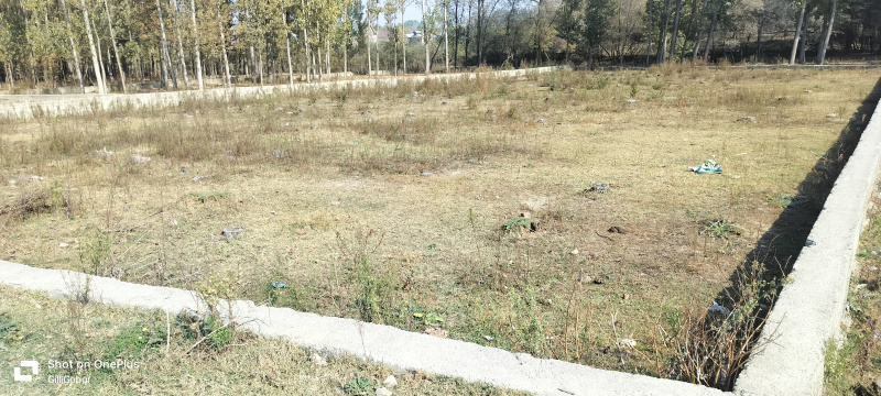  Residential Plot 13500 Sq.ft. for Sale in Magam, Badgam