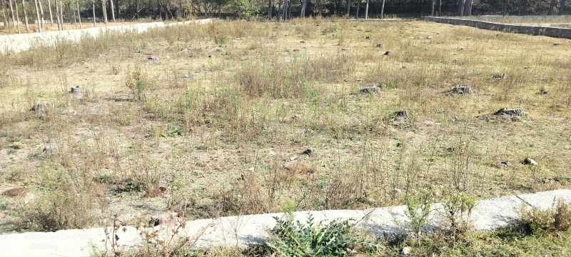  Residential Plot 13500 Sq.ft. for Sale in Magam, Badgam